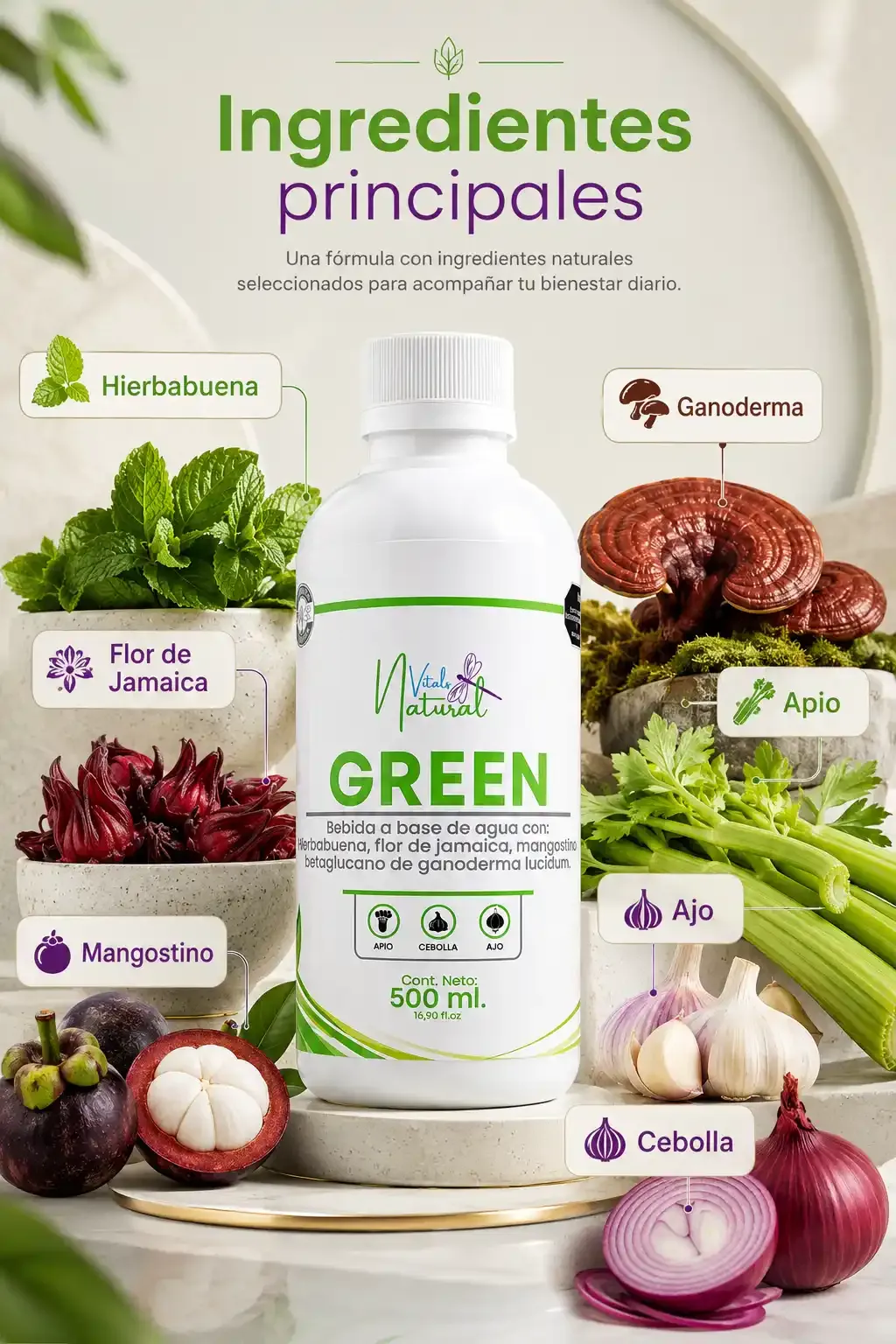 green-tu-bebida-funcional-diaria-para-un-impulso-natural